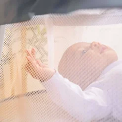 Bright Starts Disney Baby Winnie The Pooh Soothing Baby Bassinet - Slumber Party 17 Bright Starts Disney Baby Winnie The Pooh Soothing Baby Bassinet - Slumber Party -Babyletto Store GUEST 1a668770 99c0 4a74 a007 2fa3c4c493ce