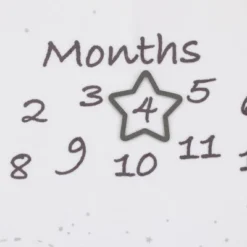 Disney Dumbo Super Soft Milestone Baby Blanket -Babyletto Store GUEST 5e3fb459 8514 4782 bb52 48d5e0de1a36