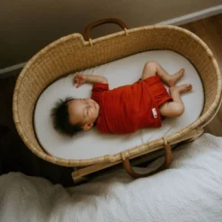 Embe 3-Pack Bundle, Transitional Swaddle Sack With Arm Snaps, Convertible, Arms-In/Arms-Out, Legs-In/Legs-Out 3-6mo 8 Embe 3-Pack Bundle, Transitional Swaddle Sack With Arm Snaps, Convertible, Arms-In/Arms-Out, Legs-In/Legs-Out 3-6mo -Babyletto Store GUEST ef1e97bf 496f 40f2 94b4 97e2a960d5ca